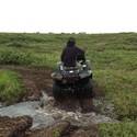 Riding an ATV through a puddle.